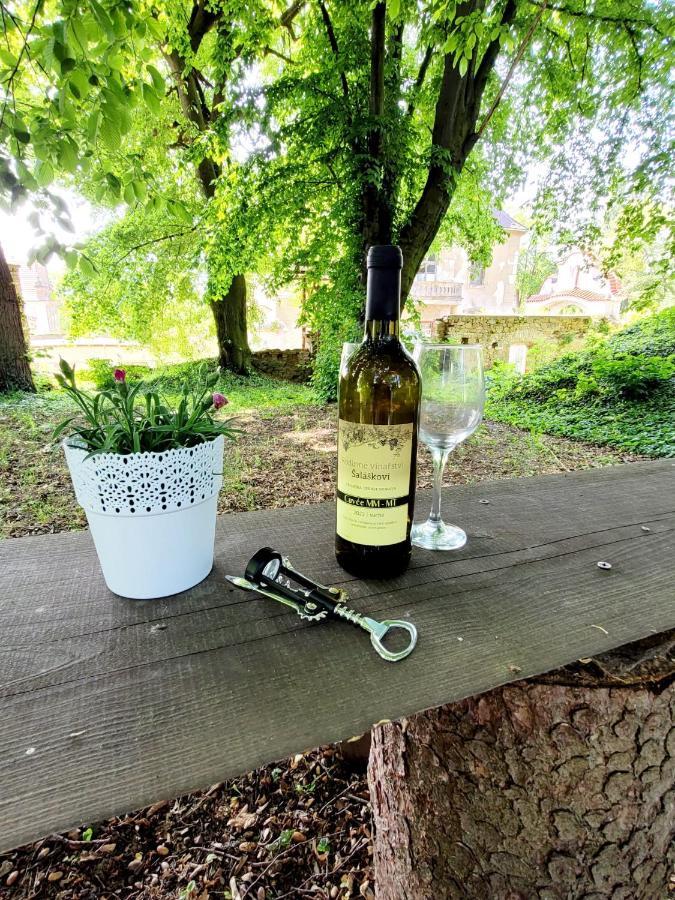 Chateau Moravany - Apartmany, Teepee A Wellness Ronow an der Doubrava Exteriör bild