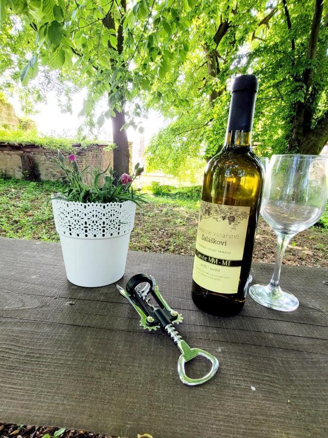 Chateau Moravany - Apartmany, Teepee A Wellness Ronow an der Doubrava Exteriör bild